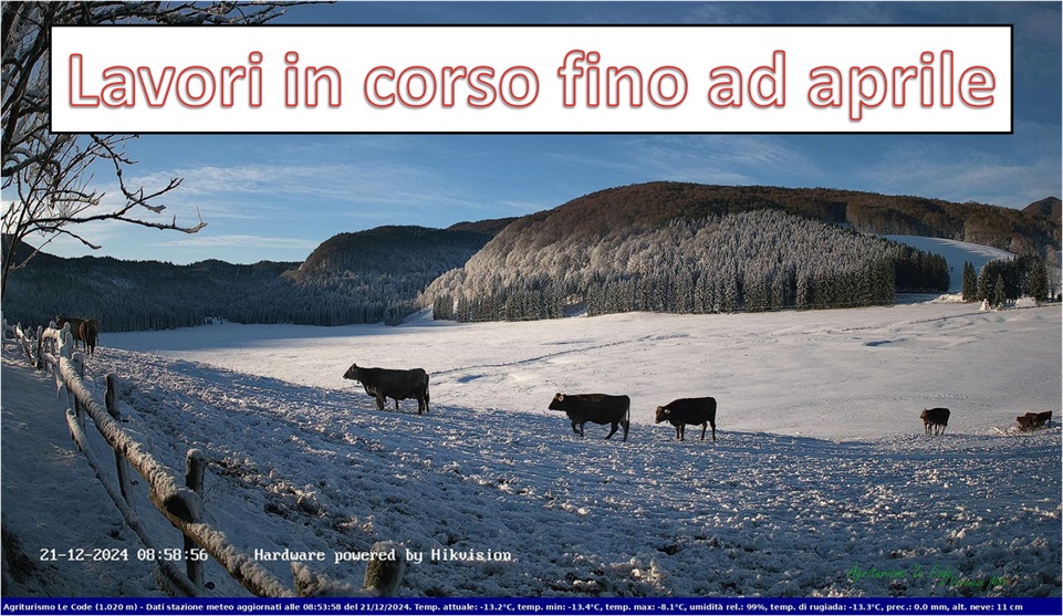 Immagine ridimensionata via css (max-width e max-height)
